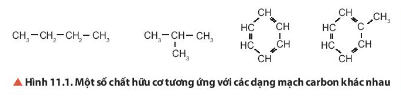 Hãy cho biết dạng mạch carbon tương ứng với các chất có trong hình 11.1