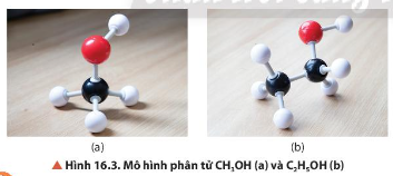 Quan sát hình 16.3, Nêu đặc điểm liên kết trong phân tử methanol, ethanol 