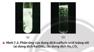 Quan sát hình 7.3, nêu hiện tượng và viết phương trình hóa học xảy ra (nếu có)