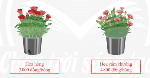 Giải Thực hành 2 trang 39 sách giáo khoa (SGK) toán lớp 8 tập 2 Chân trời