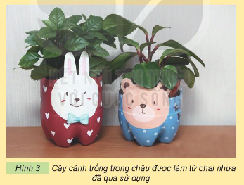 Làm hoặc trang trí một chậu trồng hoa, cây cảnh phù hợp với sở thích của em (có thể dùng vật liệu tái chế đề bào vệ môi trường)