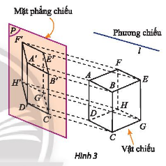 Vận dụng 1 trang 122 toán lớp 11 tập 1 Chân trời