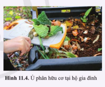 Trong các hộ gia đình, rác hữu cơ từ nhà bếp được thu gom và ủ thành phân trong thùng chứa rác thải dùng để chăm sóc cho cây trồng (hình 11.4)